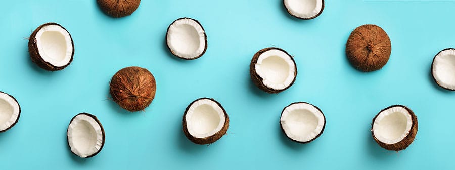 Coconuts BitMEX