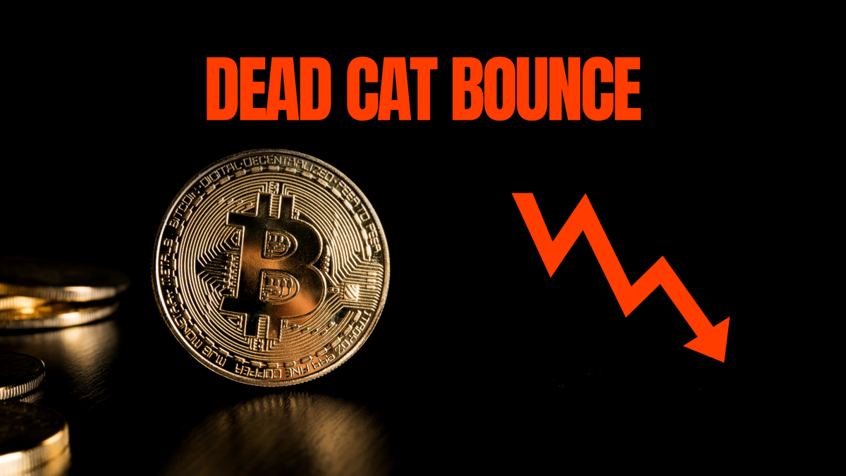 Inteligencia de datos PlatoBlockchain "Dead Cat Bounce" de Crypto. Búsqueda vertical. Ai.