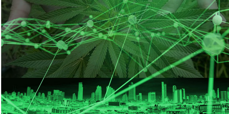 How Blockchain Technology can help Safeguard Cannabis Industry Cannabis Industry PlatoBlockchain Data Intelligence. Vertical Search. Ai.