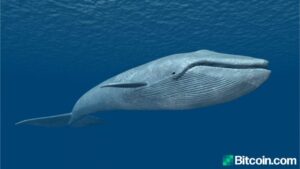2010 年神秘比特币鲸鱼消失，2013 年休眠地址出现奇怪活动 PlatoBlockchain 数据智能。垂直搜索。人工智能。