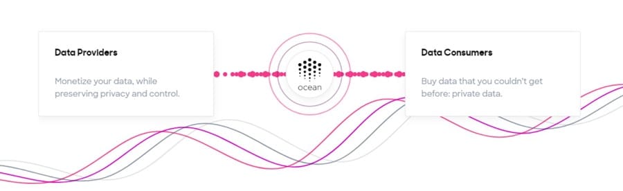 Oceaan Protocol Economie