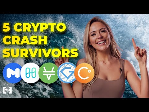 Top 5 Crypto Crash Survivors — BIC:s videonyheter visar PlatoBlockchain Data Intelligence. Vertikal sökning. Ai.