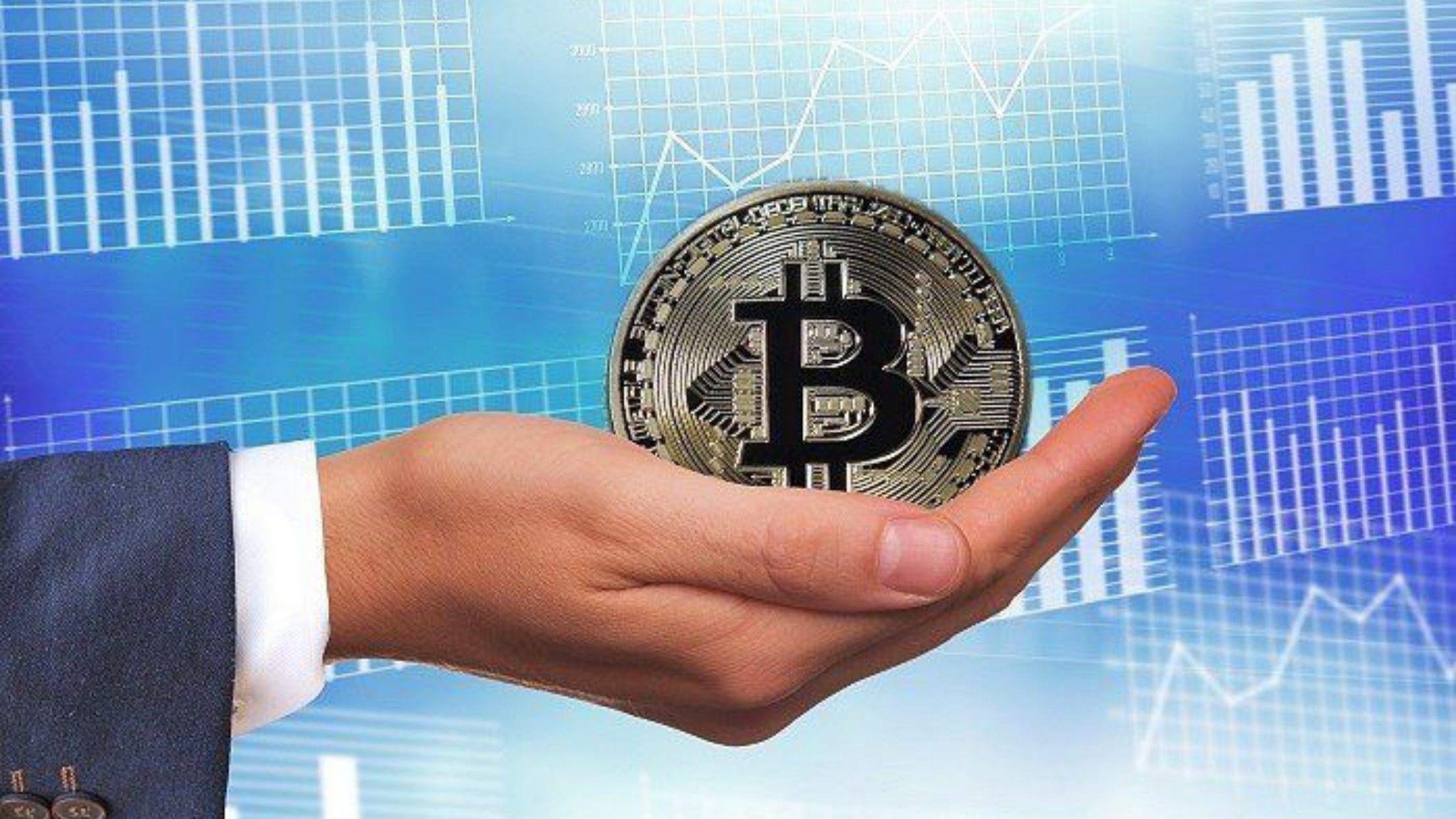Investidores em Bitcoin