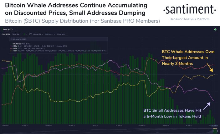 Køber Bitcoin Whales? Crypto Analytics-firmaet Santiment vejer ind i tilstanden af ​​BTC Market PlatoBlockchain Data Intelligence. Lodret søgning. Ai.