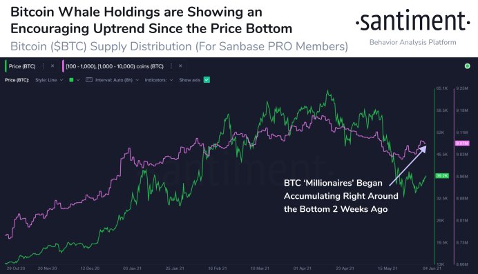Kjøper Bitcoin-hvaler? Crypto Analytics-firmaet Santiment veier inn over tilstanden til BTC Market PlatoBlockchain Data Intelligence. Vertikalt søk. Ai.