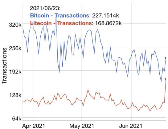 Se tabele obračajo? Transakcije z litecoini v primerjavi z bitcoini so 75-odstotne in vse večja podatkovna inteligenca PlatoBlockchain. Navpično iskanje. Ai.