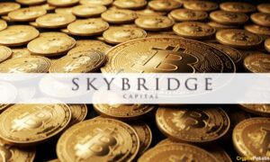Bitcoin سونے سے بہتر کارکردگی کا مظاہرہ کرے گا: Anthony Scaramucci's SkyBridge PlatoBlockchain ڈیٹا انٹیلی جنس۔ عمودی تلاش۔ عی