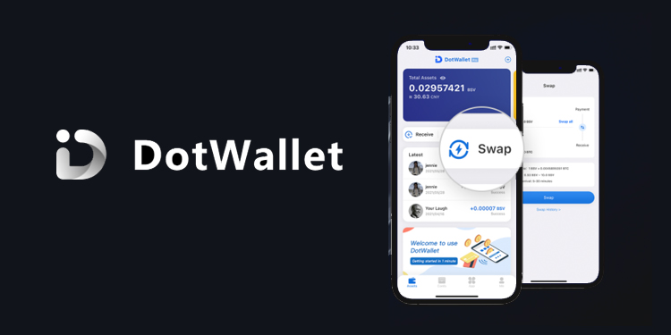 BSV-based DotWallet launches substantial upgrades for ‘Pro’ version users PlatoBlockchain Data Intelligence. Vertical Search. Ai.