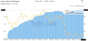 واصلت مؤسسة Purpose Bitcoin ETF الكندية التراكم المنهجي على مدار الشهر الماضي لانخفاض الأسعار في PlatoBlockchain Data Intelligence. البحث العمودي. عاي.