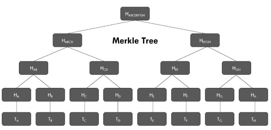 Merkle Ağacı Yapısı