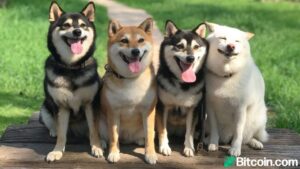 سپرده‌های Coinbase Pro Dogecoin اکنون باز می‌شود - معاملات در 3 ژوئن آغاز می‌شود. اطلاعات پلاتوبلاک چین. جستجوی عمودی Ai.
