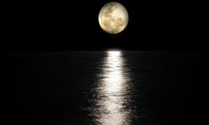 دوج کوین در مقابل بیت کوین: یکی از این موارد به معنای واقعی کلمه به ماه می‌رود. جستجوی عمودی Ai.