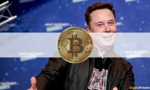 Elon Musk dödade Bitcoins Bullish Week: The Crypto Weekly Recap PlatoBlockchain Data Intelligence. Vertikal sökning. Ai.