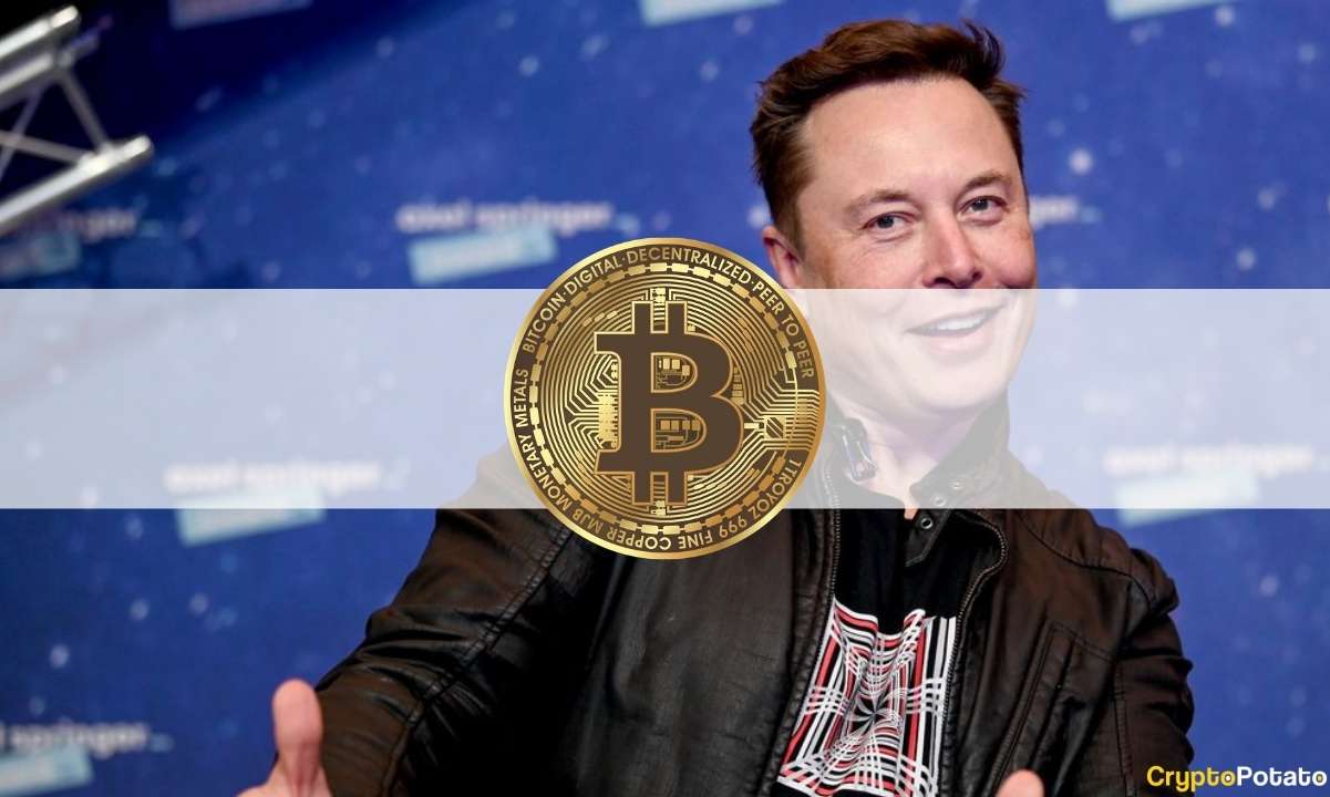 Elon Musk matou a semana de alta do Bitcoin: The Crypto Weekly Recap PlatoBlockchain Data Intelligence. Pesquisa vertical. Ai.