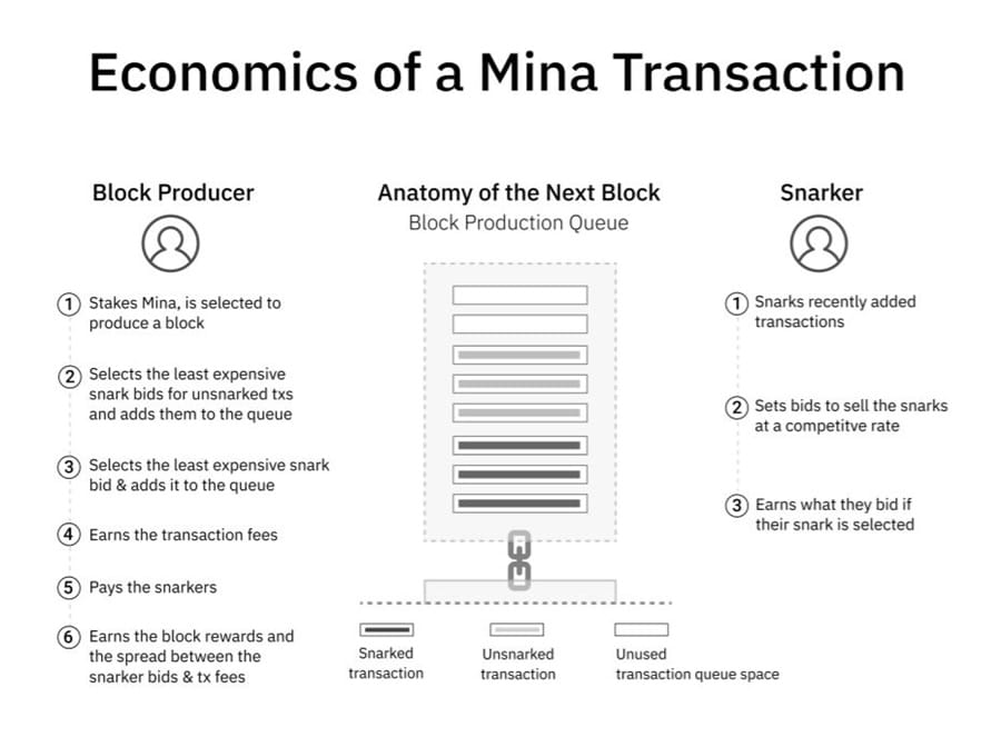 Economía de la transacción de Mina