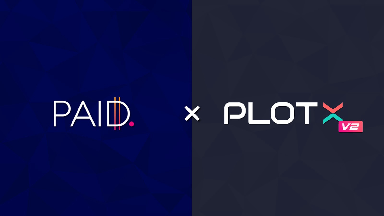 Paid Network Partners with PlotX