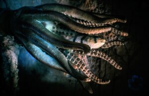 Trải nghiệm phái sinh phi tập trung tốt nhất — Tầm nhìn giao thức Octopus Thông minh dữ liệu PlatoBlockchain. Tìm kiếm dọc. Ái.