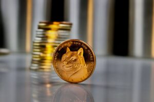 Лучшие места для покупки монеты DOGET: стоимость токена Doge растет PlatoBlockchain Data Intelligence. Вертикальный поиск. Ай.