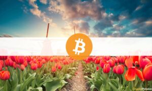 The Netherlands Must Ban Bitcoin Ahead of Price Crash, Says a Dutch Official PlatoBlockchain Data Intelligence. Vertical Search. Ai.