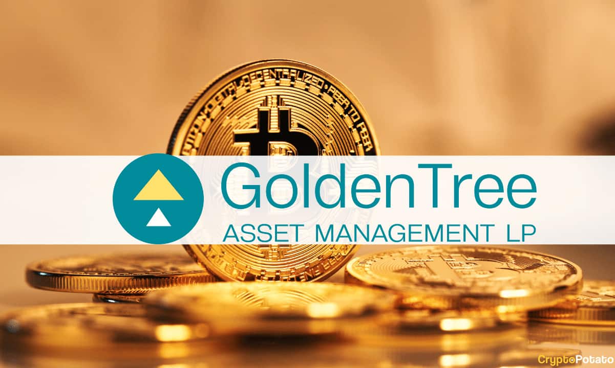 Nhà quản lý tài sản trị giá 45 tỷ USD GoldenTree được cho là đã mua Bitcoin PlatoThông tin dữ liệu Blockchain. Tìm kiếm dọc. Ái.
