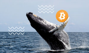 随着鲸鱼积累 35,000K BTC PlatoBlockchain 数据智能，比特币飙升至 60 美元。 垂直搜索。 哎。