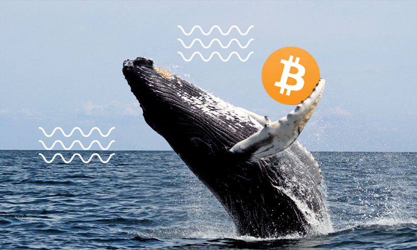 Bitcoin se eleva a $ 35,000 cuando las ballenas acumulan 60K BTC Inteligencia de datos PlatoBlockchain. Búsqueda vertical. Ai.