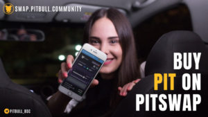 Pitbull Community Review 2021: Tutti tengono, tutti vincono PlatoBlockchain Data Intelligence. Ricerca verticale. Ai.