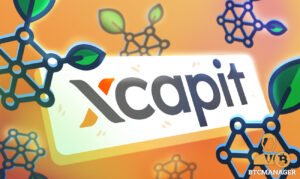 توکن RIF در کیف پول سرمایه گذاری Xcapit ادغام می شود. جستجوی عمودی Ai.