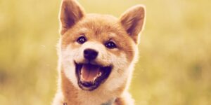 What Is Baby Doge and Why Is Elon Musk Pumping the Dogecoin Knockoff? PlatoBlockchain Data Intelligence. Vertical Search. Ai.
