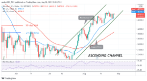 Bitcoin (BTC) Price Prediction: BTC/USD Survives Rejection at $49K as It Revisits Recent High PlatoBlockchain Data Intelligence. Vertical Search. Ai.