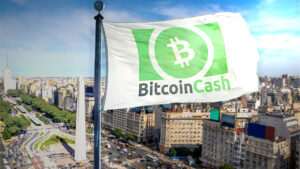 Bitcoin Cash Argentina Crowdfunds קמפיין כלכלה מעגלית ואימוץ PlatoBlockchain Data Intelligence. חיפוש אנכי. איי.
