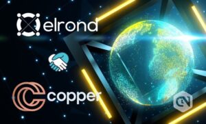 Copper.co integra il token EGLD con l'asset Blockchain di Elrond PlatoBlockchain Data Intelligence. Ricerca verticale. Ai.