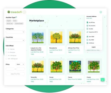 TreeDefi izda prvo tržnico NFT, ki jo podpira Real Trees PlatoBlockchain Data Intelligence. Navpično iskanje. Ai.