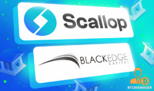 DeFi Neo-Banking Platform Scallop samlar in $2.5 miljoner PlatoBlockchain Data Intelligence. Vertikal sökning. Ai.