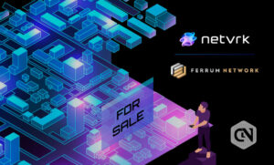 Netvrk Віртуальний продаж землі по частинах, дебютує з передпродажем землі PlatoBlockchain Data Intelligence. Вертикальний пошук. Ai.
