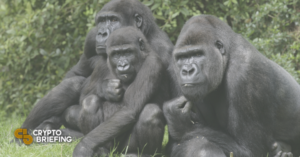 NFT Gorillas Burn $90,000 Ethereum Per Minute PlatoBlockchain Data Intelligence. Vertical Search. Ai.