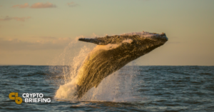 Il poligono si mobilita mentre le balene si lanciano in acquisti sfrenati PlatoBlockchain Data Intelligence. Ricerca verticale. Ai.