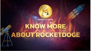 RocketDoge: Meemitunnuksen muuttaminen hajautetuksi ekosysteemiksi PlatoBlockchain Data Intelligence. Pystysuuntainen haku. Ai.