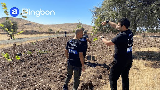 Bingbon lanserer sitt Carbon Free and Forestation Project PlatoBlockchain Data Intelligence. Vertikalt søk. Ai.
