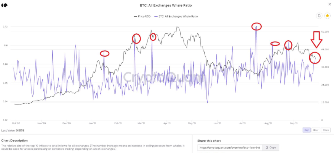 Les baleines Bitcoin déplacent la valeur BTC « record » alors que la métrique sonne l'alarme sur la volatilité des prix PlatoBlockchain Data Intelligence. Recherche verticale. Aï.