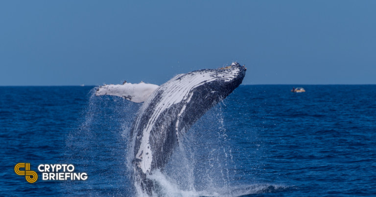 BSC مشهورة لدى الحيتان المشفرة: تقرير نانسن لذكاء بيانات PlatoBlockchain. البحث العمودي. منظمة العفو الدولية.