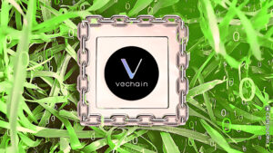 CTI verifica VeChainThor come una delle blockchain pubbliche più ecologiche PlatoBlockchain Data Intelligence. Ricerca verticale. Ai.