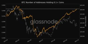 Sinkende Bitcoin-Preise lösen erneutes Interesse aus, da die Zahl der Kleinanleger wächst PlatoBlockchain Data Intelligence. Vertikale Suche. Ai.