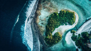 Kako lahko Blockchain očisti naše oceane in reši gozdove PlatoBlockchain Data Intelligence. Navpično iskanje. Ai.