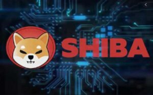 The answer to Coin Shiba Inu is … PlatoAiStream Data Intelligence. Vertical Search. Ai.