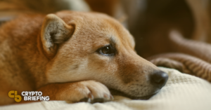 מטבע כלב Shiba Inu פוגש התנגדות לאחר 200% ראלי PlatoBlockchain Data Intelligence. חיפוש אנכי. איי.