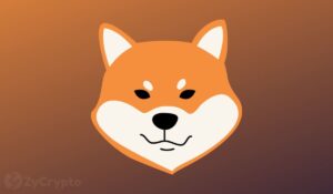 This Investor Made A Bet On Shiba Inu In August 2020 — He’s Now A Crypto Billionaire PlatoBlockchain Data Intelligence. Vertical Search. Ai.
