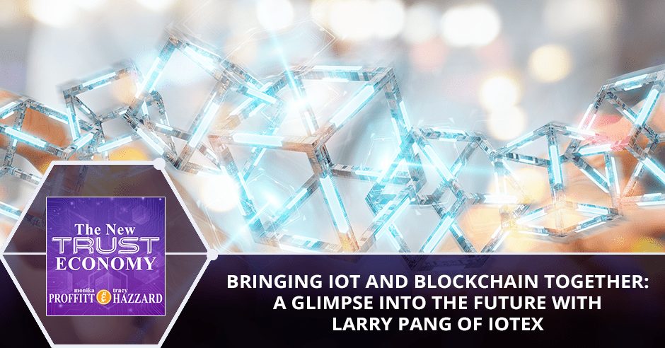 IoT とブロックチェーンを一緒に: IoTeX PlatoBlockchain Data Intelligence の Larry Pang による未来を垣間見る。 垂直検索。 あい。