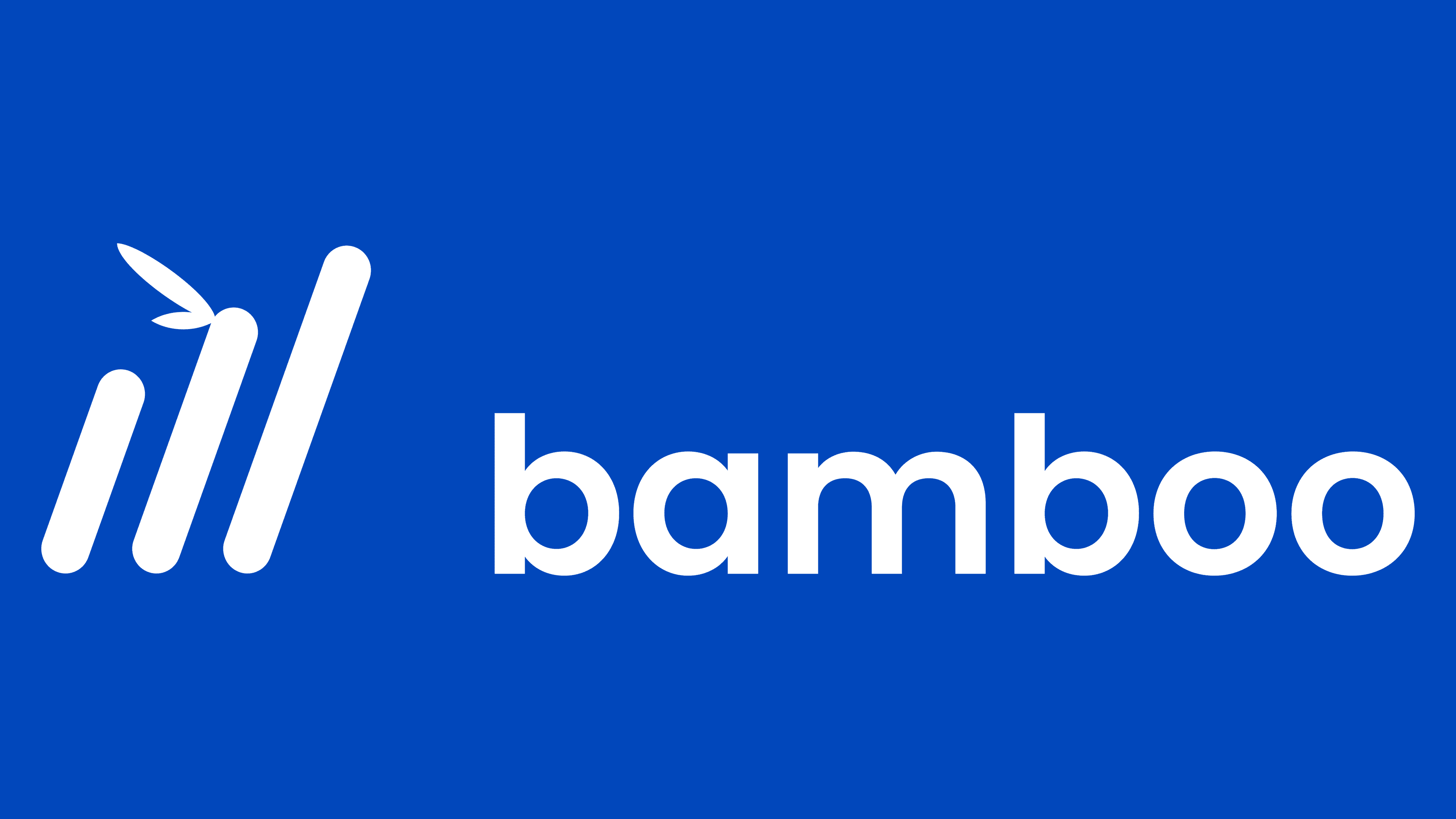 Bamboo ลอยตัว 3 ล้านเหรียญสหรัฐในขณะที่ตลาดสหรัฐเข้าสู่ PlatoBlockchain Data Intelligence ค้นหาแนวตั้ง AI.
