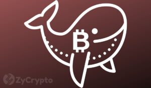 Bitcoin parece tener un precio con descuento ya que Mammoth Whale adquiere casi 1000 BTC de inteligencia de datos PlatoBlockchain. Búsqueda vertical. Ai.